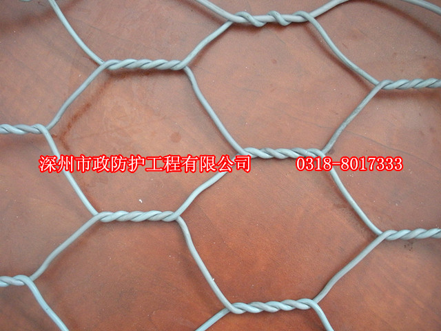 廣東五擰格賓網