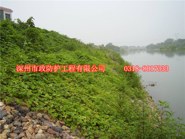 株洲河堤雷諾護(hù)墊