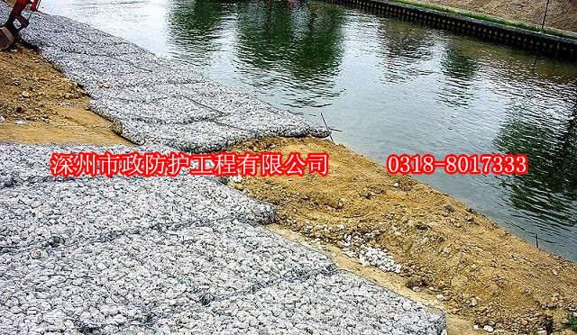 威海高爾凡雷諾護(hù)墊