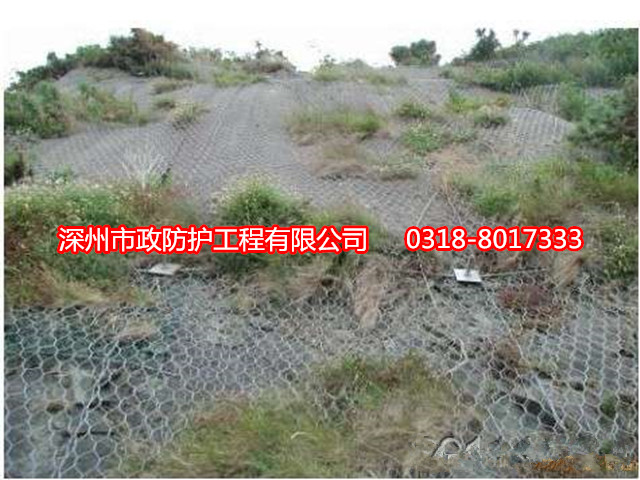 沈陽格賓掛網
