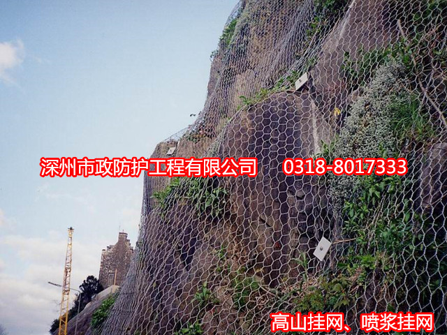 遼寧重型六角網